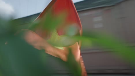 Vietnamese Flag in a Wind