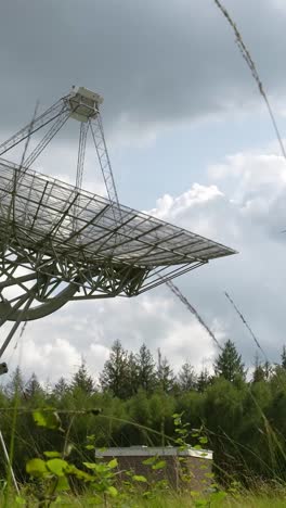 large radio telescope in a forest