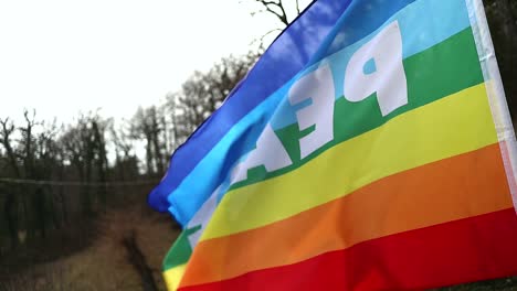 la bandera de la paz ondea en el viento, el bosque en el fondo, toma de cerca en cámara lenta