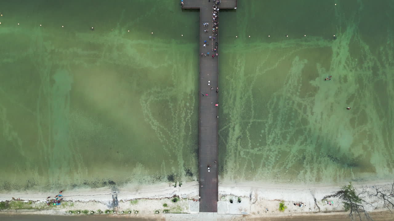 "A drone moves forward, capturing the end of the pier and unveiling passengers in line, ready to embark on a ferry boat, framed by the green waters and shoreline of Araruama, Brazil. Eagle Eye Shot.