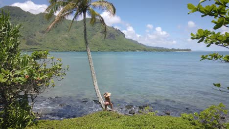 A-woman-in-a-pink-bikini-and-straw-hat-poses-by-a-palm-tree-on-a-Hawaiian-beach,-with-a-beautiful-sea-backdrop