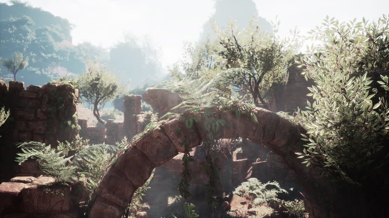 울창 하고 안개 가 가득 한 계곡 에 있는 고대 유적 들