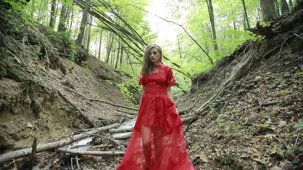 Gorgeous Lady In A Mysterious Foggy Forest. Steadicam shot of a gorgeous lady in long red dress in a mysterious foggy forest