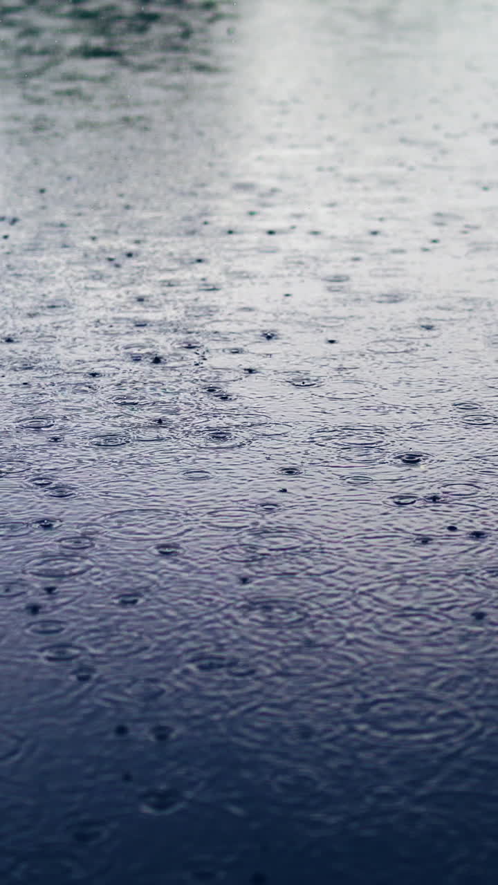 Rain drops fall on water surface of pond, lake or river Vertical video