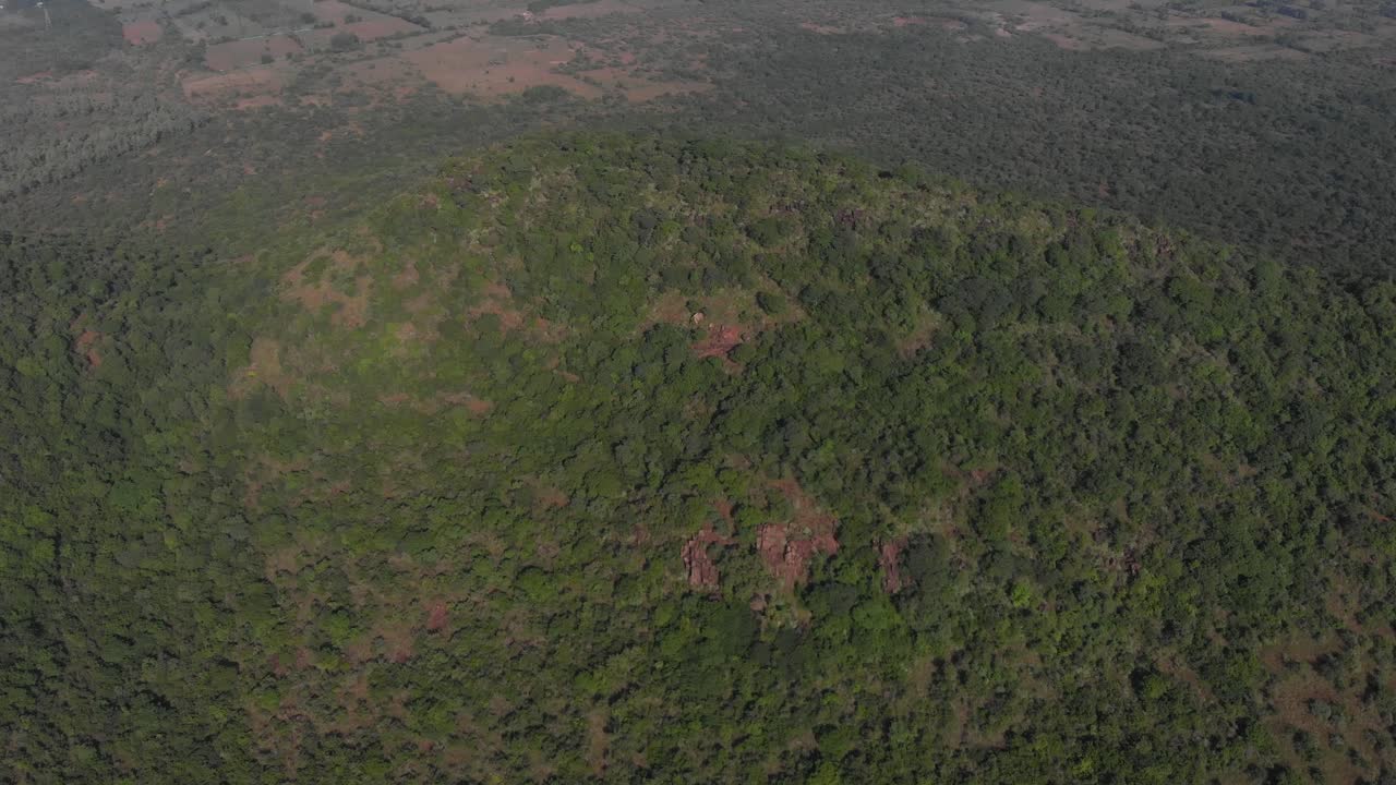 disparo que revela un paisaje boscoso debajo y tierras de cultivo planas que se pierden en la distancia