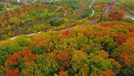 scenic fpv aerial view over colorful, bright fall foliage