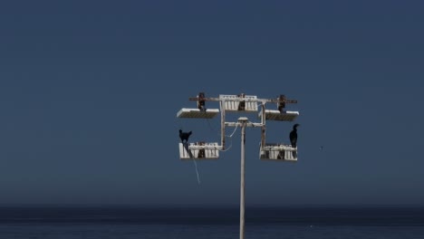 Hand-held-shot-of-floodlights-with-birds-standing-on-top-in-Iquique,-Chile