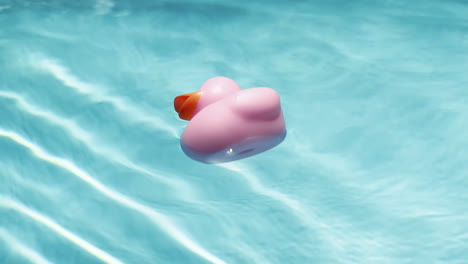 close-up of a pink rubber duck floating in a pool as sun light reflects off ripples in water