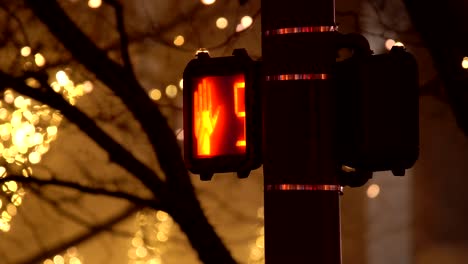 Pedestrian-traffic-light-countdown