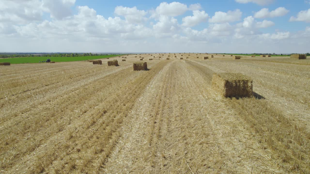 tiro panorámico de campo de paja en sdot negev, israel