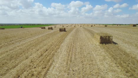 Pan-Shot-of-Straw-Field-at-Sdot-Negev-,-Israel