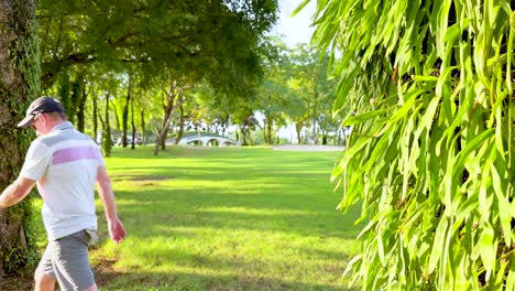 a man strolls through a sunny park