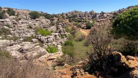 Young-hiker-woman-walking-with-her-dog-in-National-Park-with-lot-of-rocks-at-sunny-day