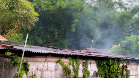 Rain-in-the-countryside,-Indonesia.-Humid-climate.