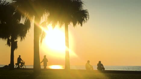 time lapse of palm tree and people near the beach