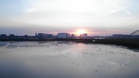 scenery sunrise behind buildings while birds are flying around during a slowmo pan shot with a drone