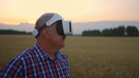 al atardecer en un casco vr e inspeccionar el campo de trigo. un granjero con gafas de realidad virtual controla la propiedad de la granja. mueve tu cabeza en un casca vr