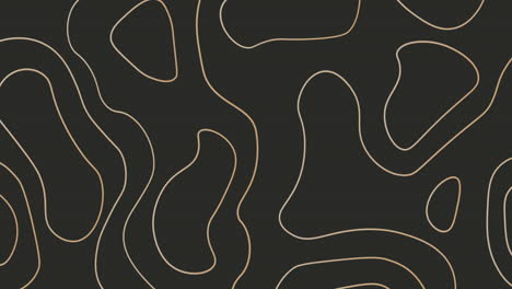 animación de formas blancas sobre un fondo negro