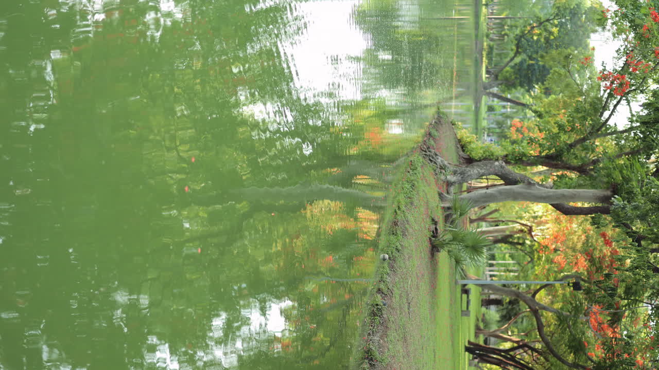 Person in Pink Top in a Serene Tropical Park with Water and Flowers