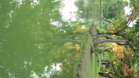 person in pink top in a serene tropical park with water and flowers