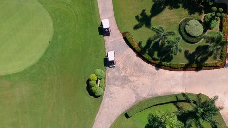 buggies de golf conduciendo a lo largo del camino de un campo de golf verde y exuberante, vista aérea de pájaros