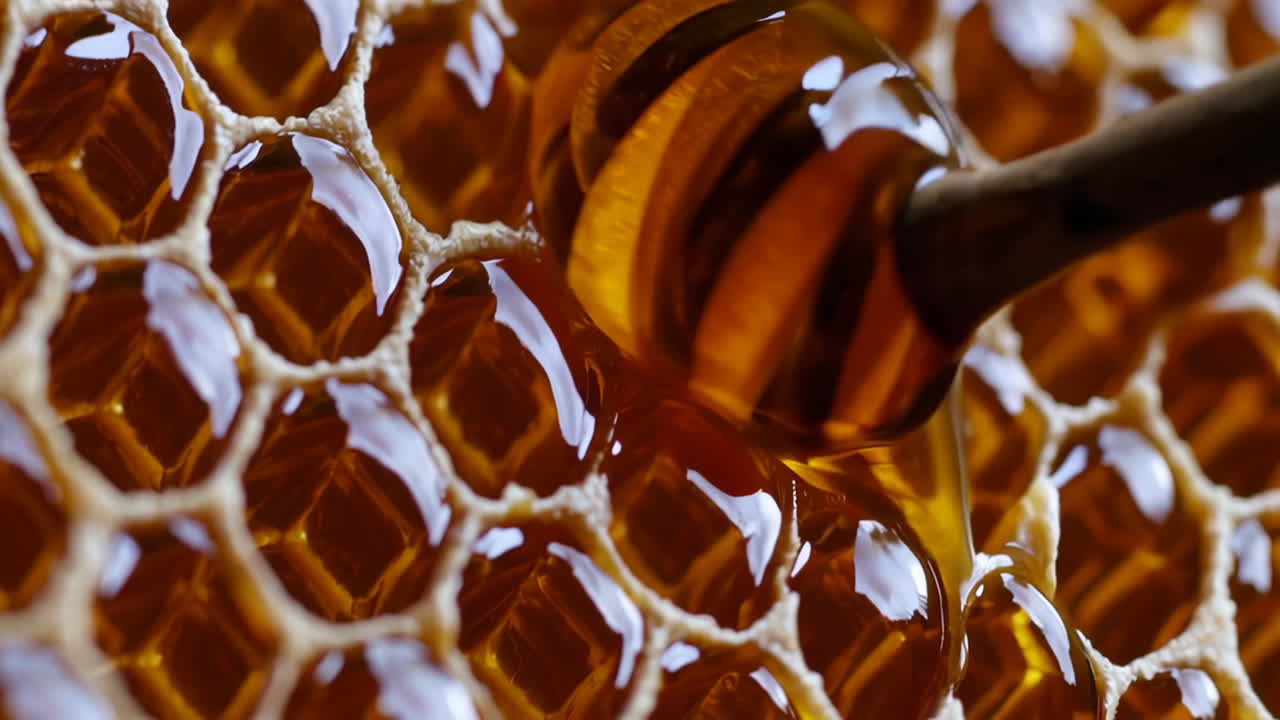 Close-up of Honeycomb with Honey