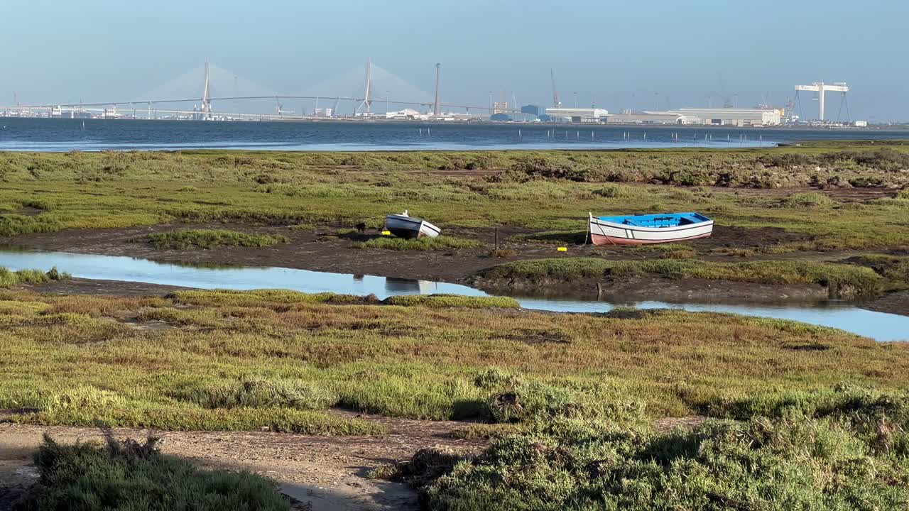 바다와 오래된 배와 함께 자연에 플라밍고
