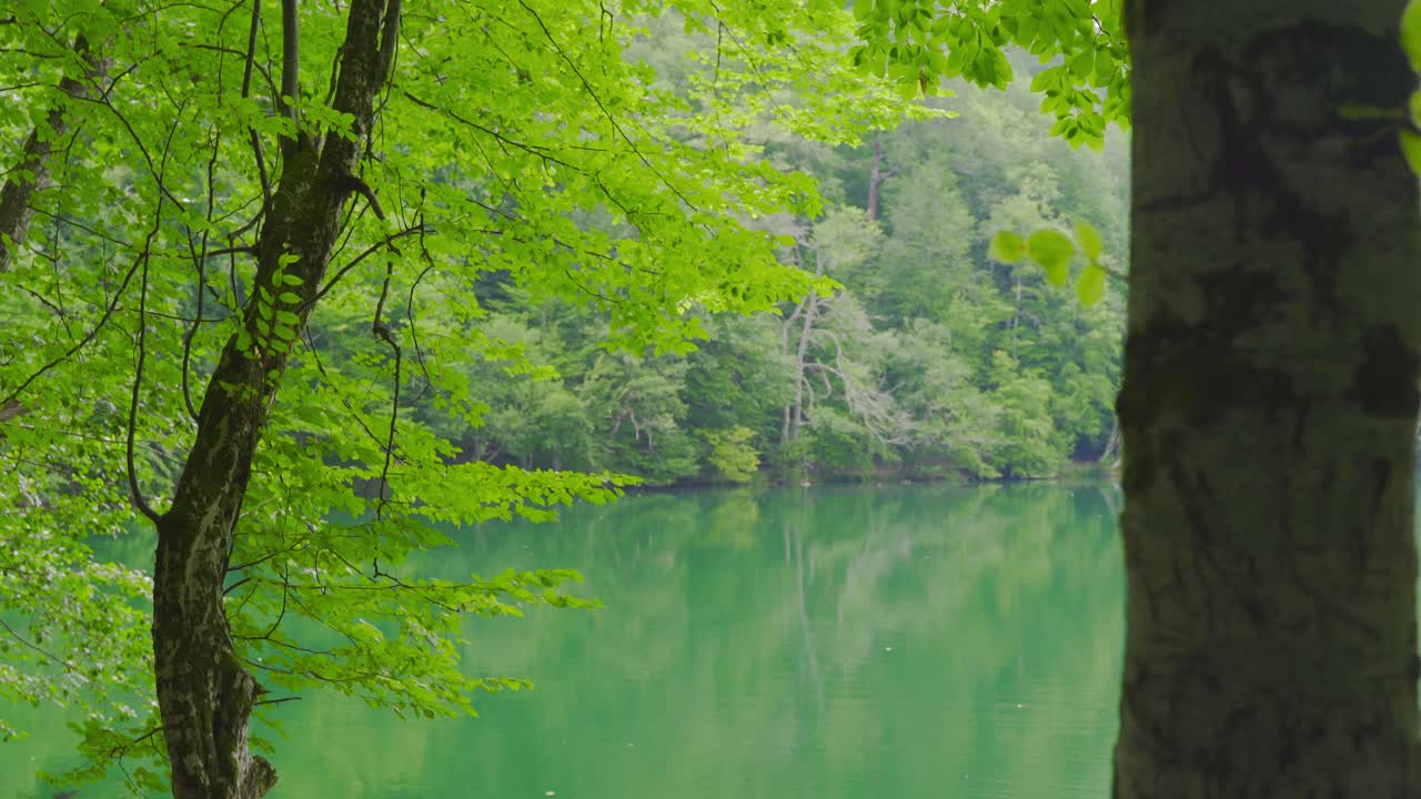 화가는 풍경을 그립니다.