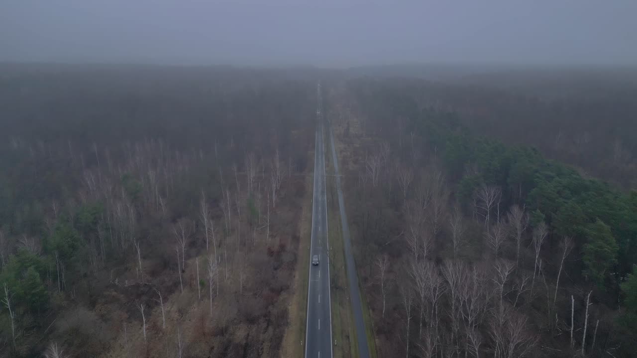 겨울에 안개와 함께 숲을 가로지르는 직선 도로. 멋진 공중 전망 비행 비행 앞으로 드론을 밀어
