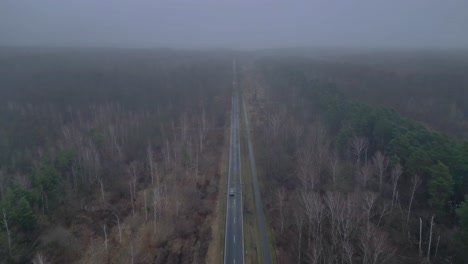 straight road crossing a forest in winter with fog. gorgeous aerial view flight fly push forward drone
