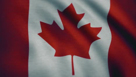 canadian flag close-up