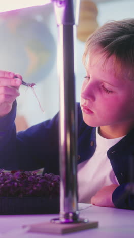 boy doing a science experiment with microgreens under a purple light