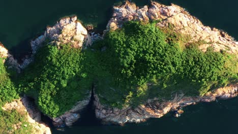 birdseye aerial view above dense cheung chau lush foliage mountain rock formation island wilderness dolly right