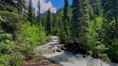 Sendero-Del-Arroyo-De-La-Aguja-Nieve-Derretida-Río-Cuenca-De-Chicago-Durango-Silverton-Colorado-Montañas-Rocosas-Neddleton-Necesita-Arroyo-Sendero-Del-Purgatorio-Verano-Julio-Cielo-Azul-Bosque-Lentamente-Panorámica-Hacia-La-Derecha