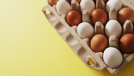 video of eggs in packaging box on a yellow surface