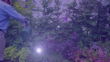 video compuesto de punto de luz contra caucásico hombre mayor regando plantas en el jardín