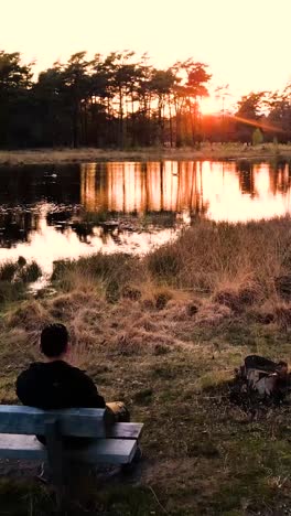 puesta de sol sobre un tranquilo lago forestal