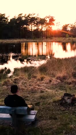 sunset over a tranquil forest lake