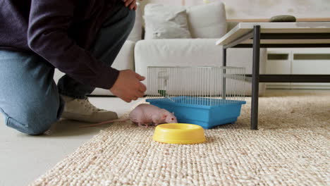 man feeding pets