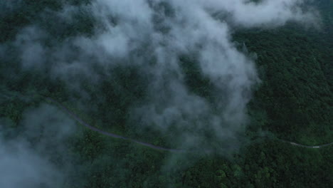 Toma-Aérea-Sobre-Un-Bosque-A-Través-Y-Por-Encima-De-Las-Nubes