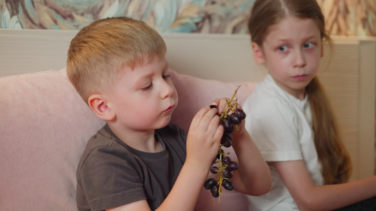 little boy carefully plucks black currant from branch on bed while sister looks on and reaches for some with curious expression cozy indoor