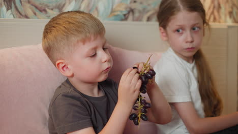 little boy carefully plucks black currant from branch on bed while sister looks on and reaches for some with curious expression cozy indoor