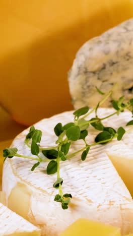 assorted cheeses and dairy items on a table