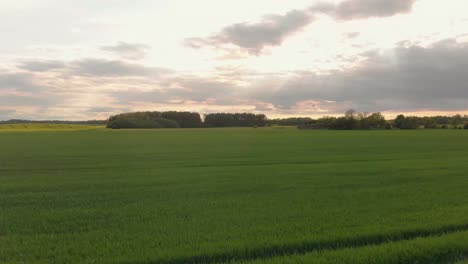 evening skies dawning courland latvia barley fields aerial