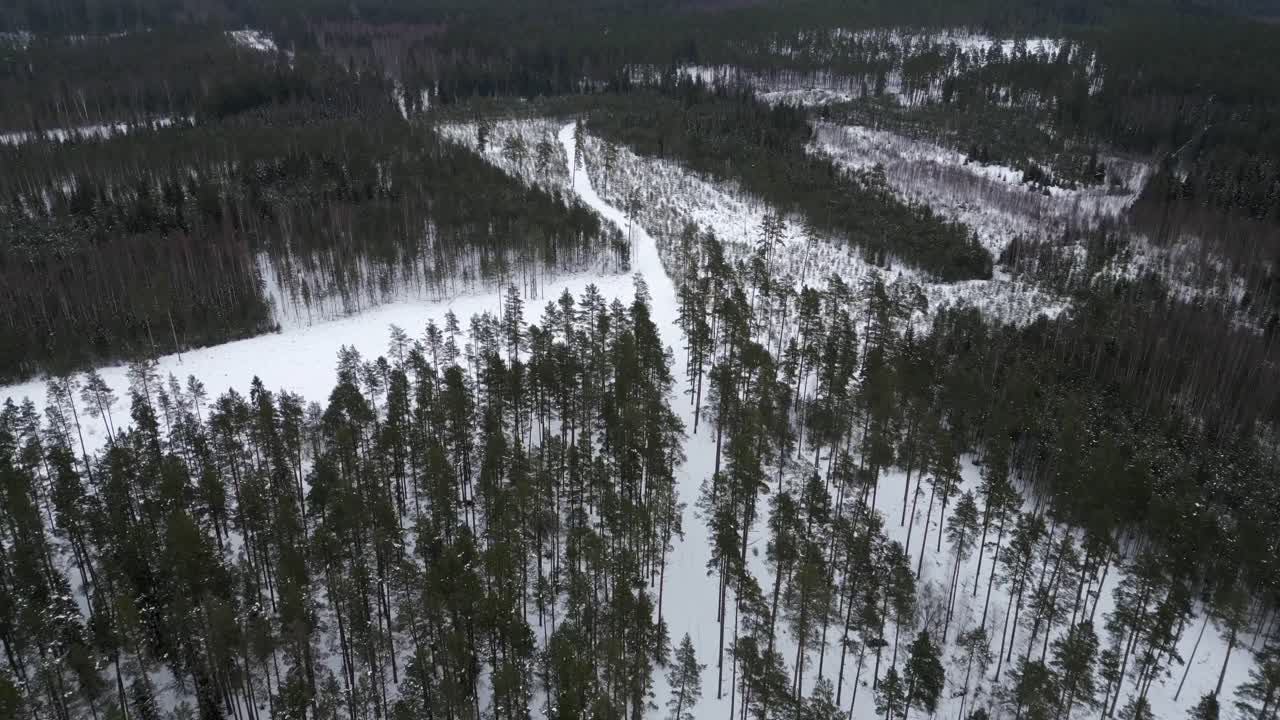 una vista aérea de un paisaje rural helado en un día de invierno en estonia, europa del norte en invierno