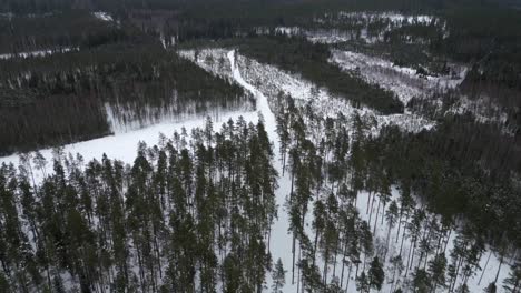 An-aerial-view-of-a-frosty-rural-landscape-on-a-winter-day-in-Estonia,-Northern-Europe-in-winter