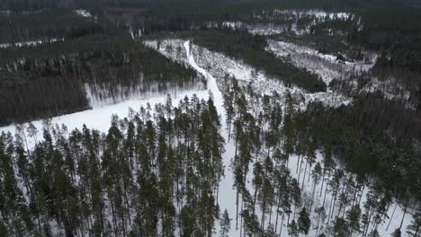 an aerial view of a frosty rural landscape on a winter day in estonia, northern europe in winter