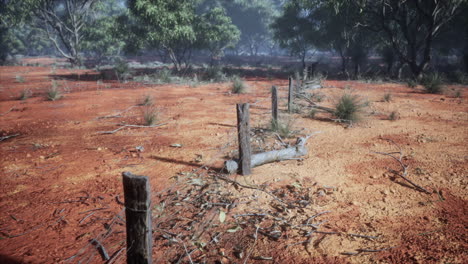 barbed-wire-fence-in-deserted-landscape