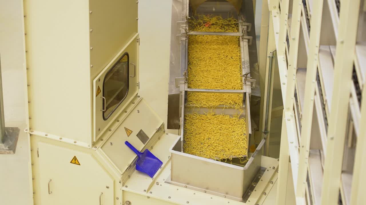 fideos de huevo de spatzle en la cinta transportadora de la fábrica, proceso de producción en masa de spatzle, vista desde arriba