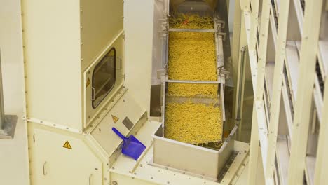 spaetzle-egg-noodles-on-factory-conveyor-belt,-mass-production-process-of-spatzle,-topview